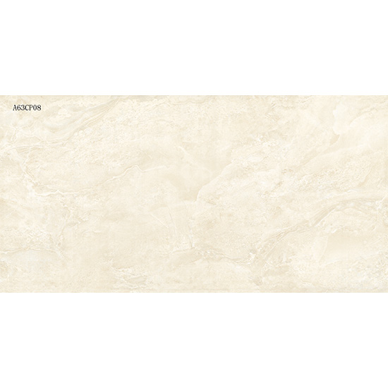 A63CP08