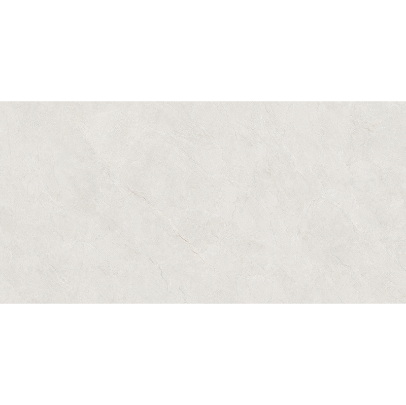 A84PY003P